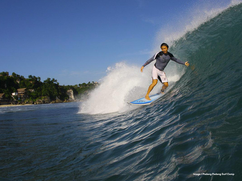 Surfing Lessons